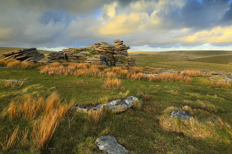 Leeden Tor