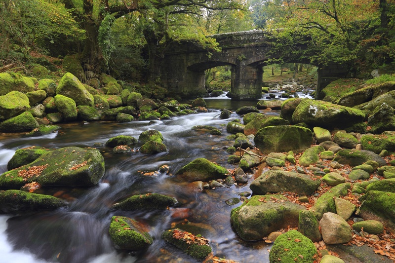Shaugh Bridge - Dartmoor Landscapes Prints