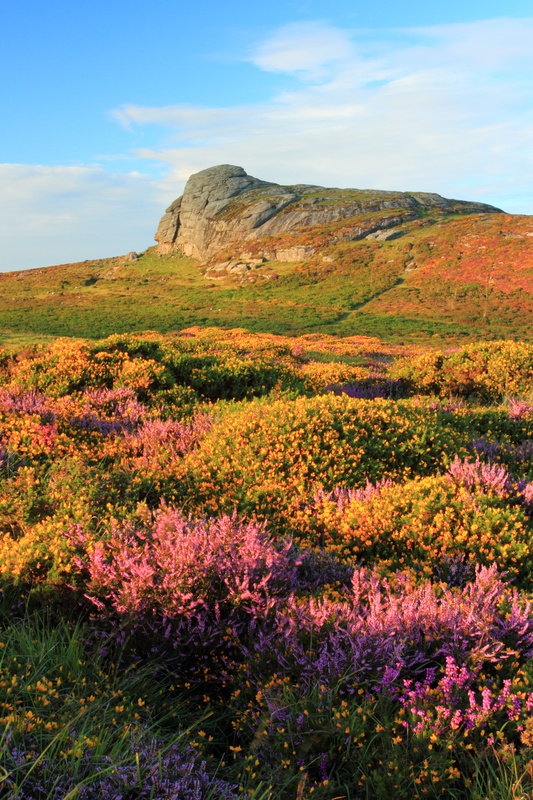 Haytor