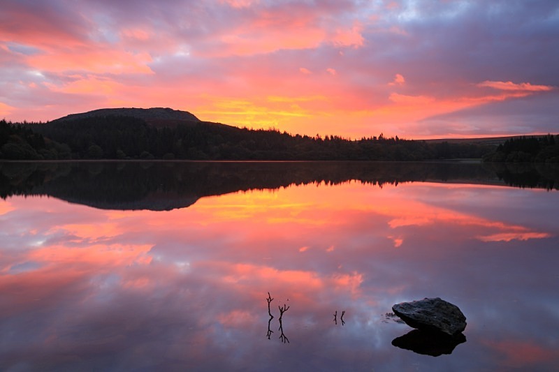 Burrator