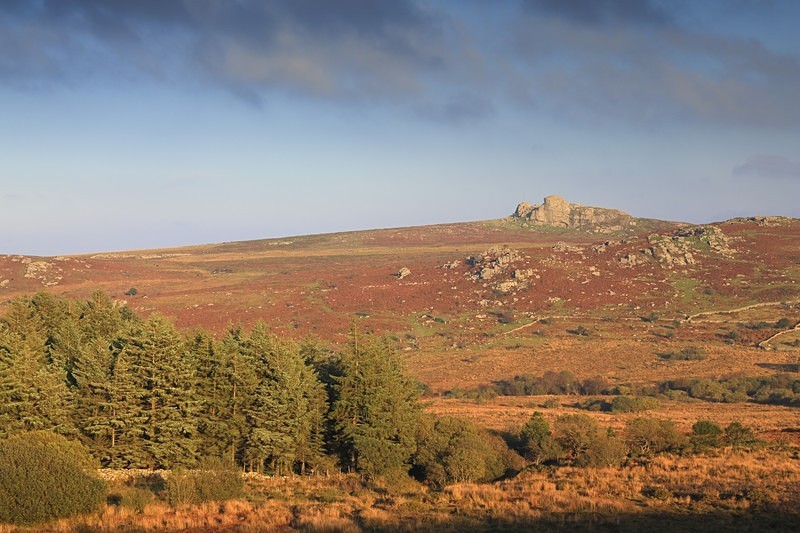 Haytor Rocks - Dartmoor Landscapes Prints