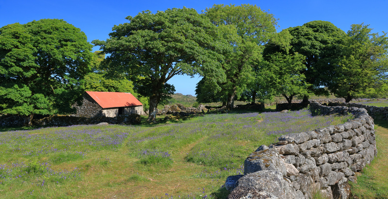 Emsworthy - Dartmoor Landscapes Prints