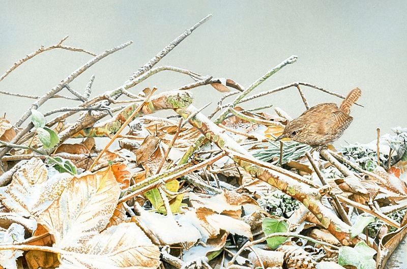 Winter Woodland Floor - Original Artwork