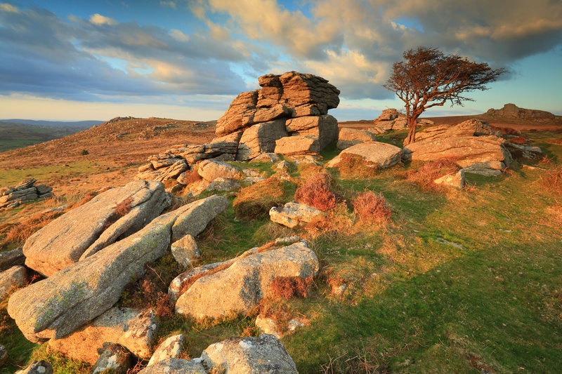 Holwell Tor