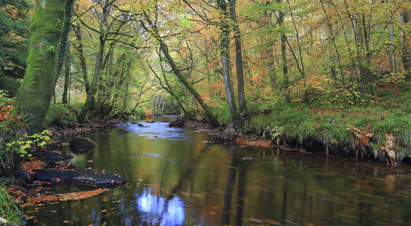Autumn on the Teign - Dartmoor Landscapes Prints