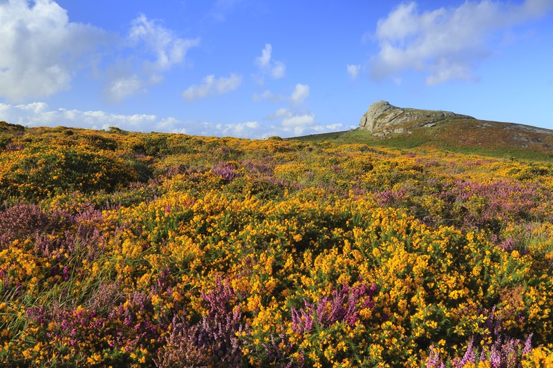 Haytor