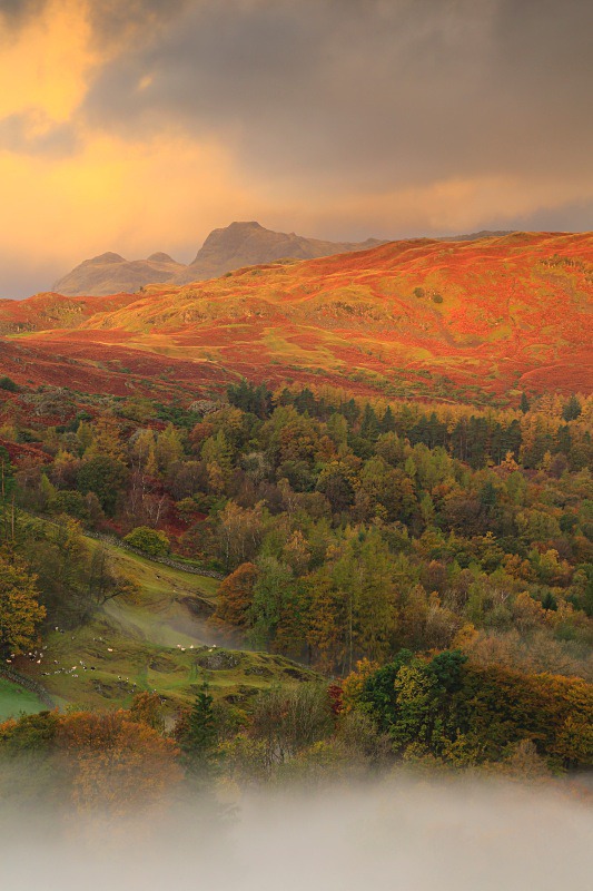 Distant Langdale Pikes