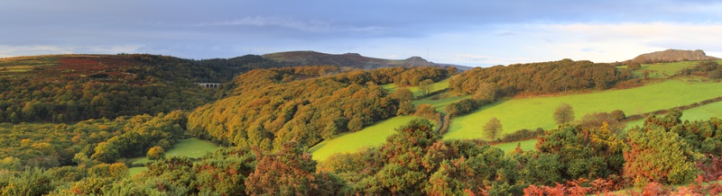 Burrator
