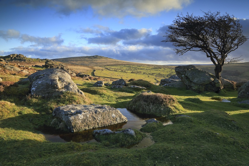 Holwell Tor