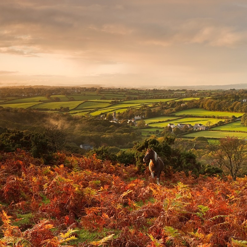 Meavy Dartmoor