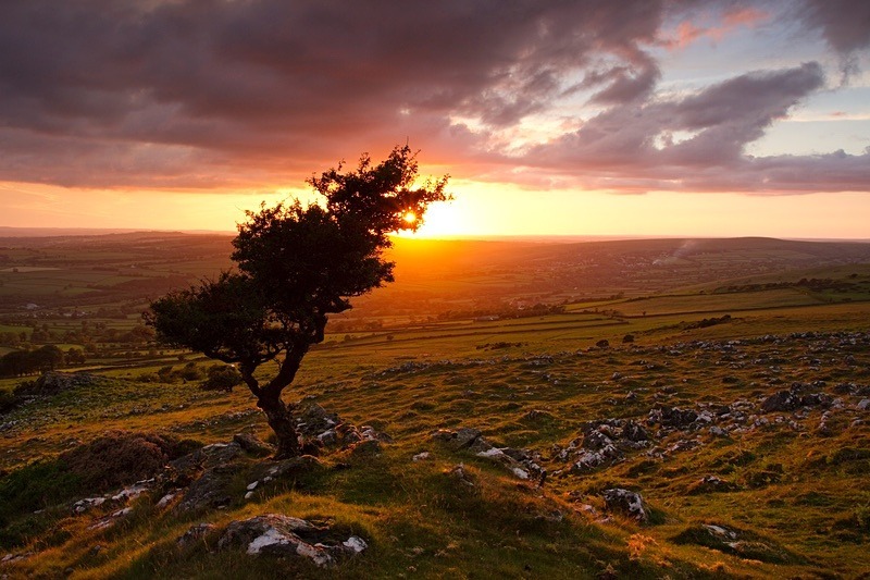 Dartmoor UK - For Gabriel