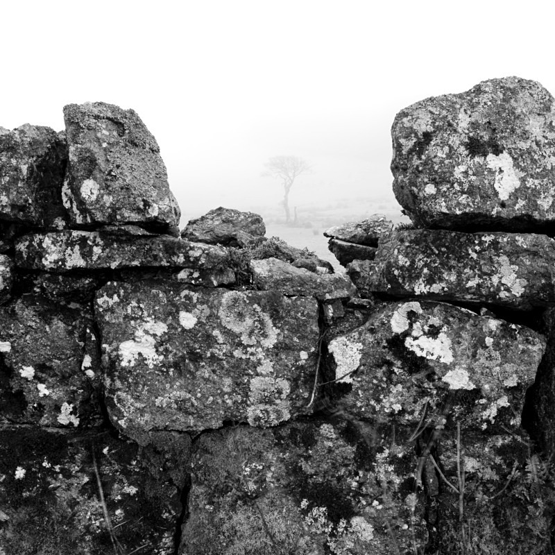 Dartmoor Devon