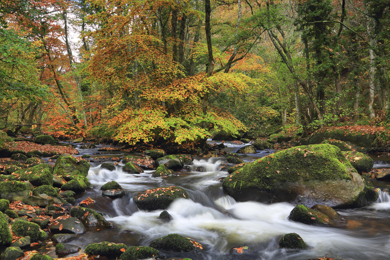 River Teign Rush - Dartmoor Landscapes Prints