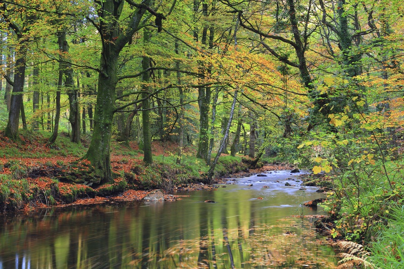 River Teign Swirl - Dartmoor Landscapes Prints