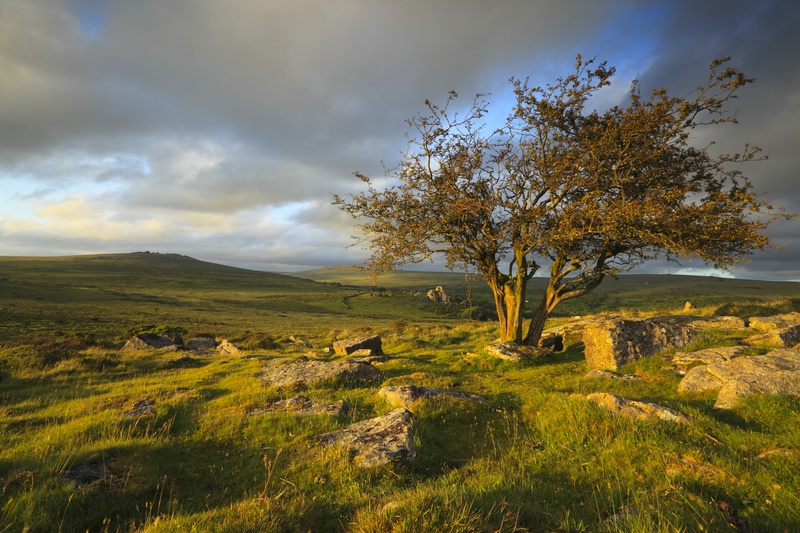 Heckwood Tor