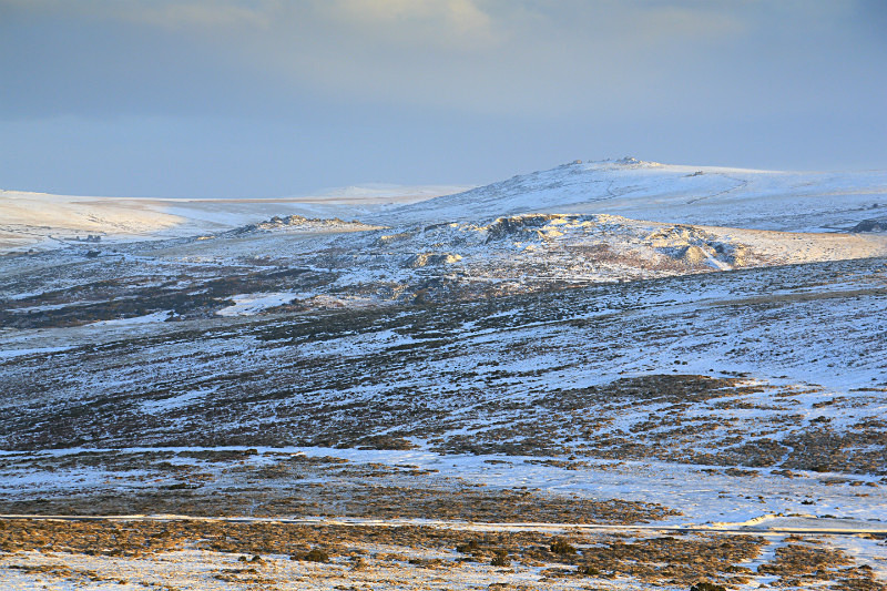 Look North