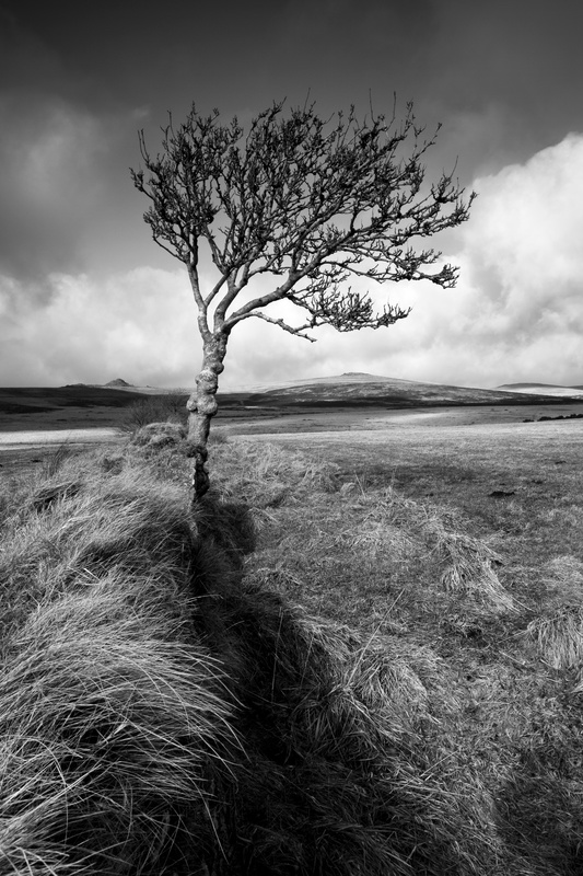 Dartmoor