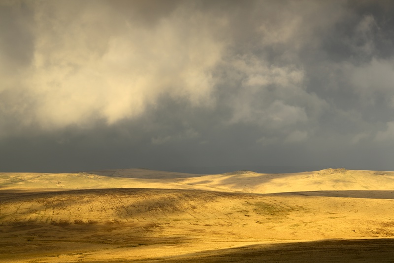 Dartmoor