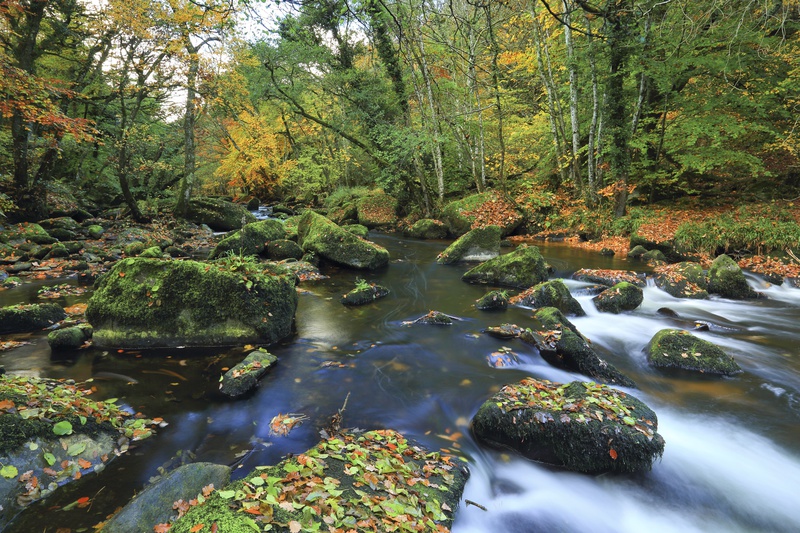 Colours of the Teign - Dartmoor Landscapes Prints