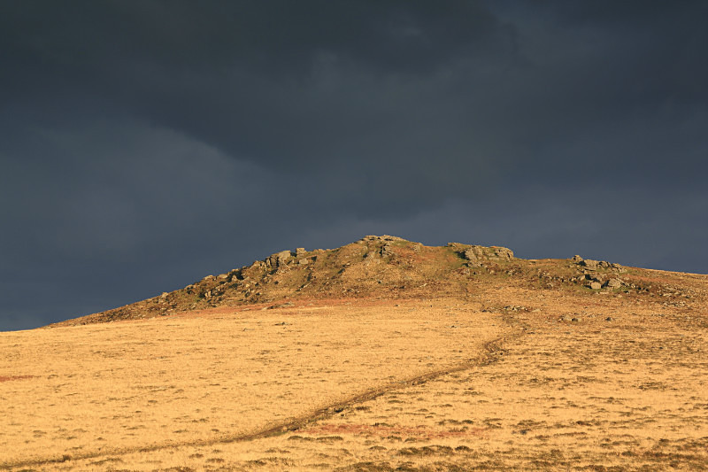 Rippon Tor - Dartmoor Landscapes Prints