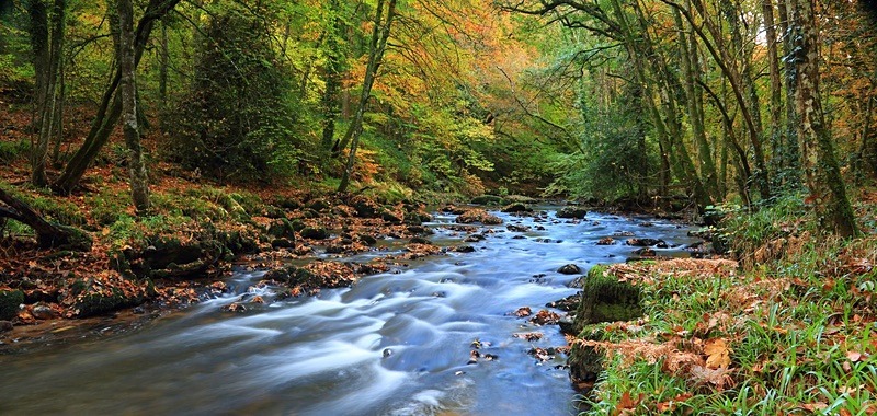 The River Teign - Devon - Dartmoor Landscapes Prints