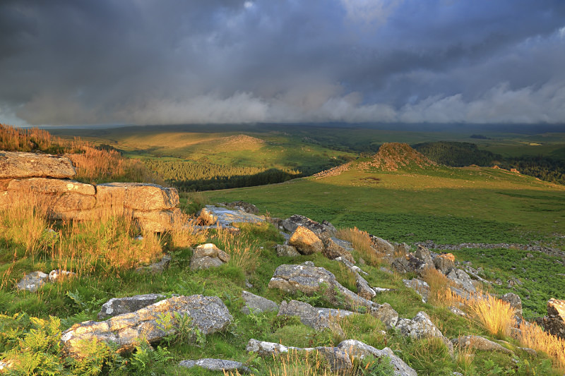 Sharpitor Vista - Dartmoor Landscapes Prints