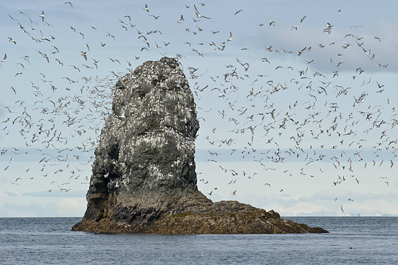 Gull Island - Alaska Landscapes