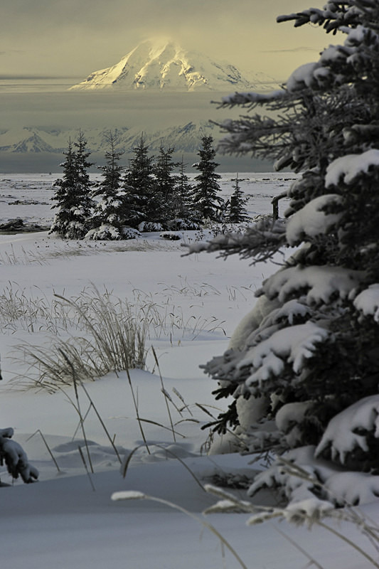 Winter on Redoubt 2 - Alaska Landscapes