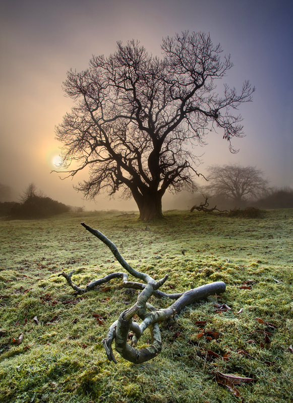 Frost & Fog - Co Armagh