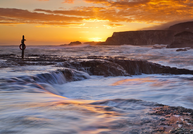 Morning Glory - Co Antrim