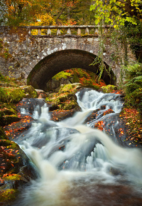 Autumn at Cloughleagh - Co Wicklow