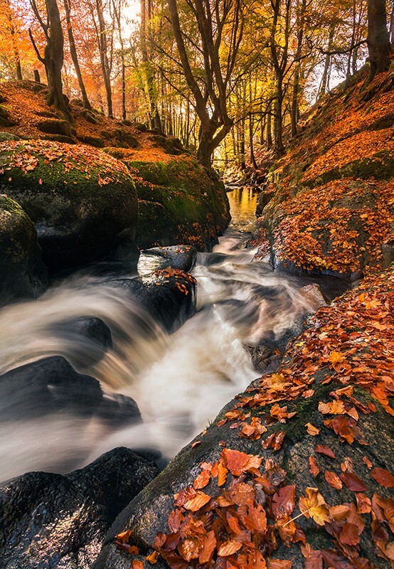 Autumn Cascades - Co Wicklow