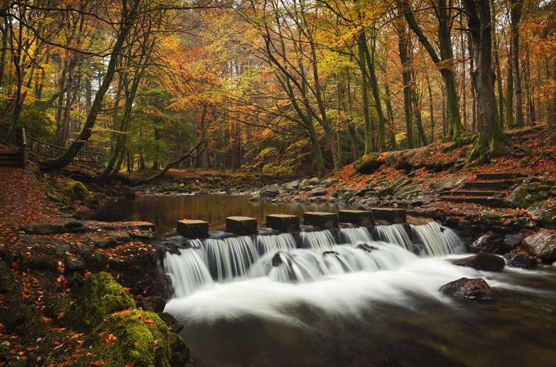 Stepping Stones - Co Down
