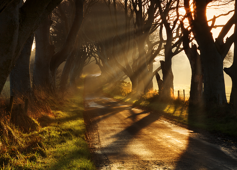 Early Morning Light - Co Antrim