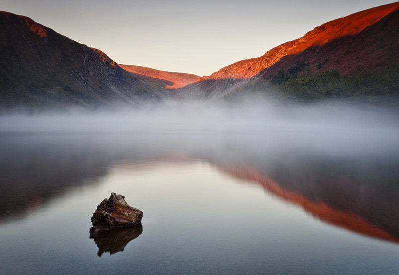 Misty Morning - Co Wicklow