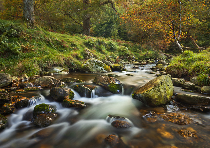Poulanass River - Co Wicklow