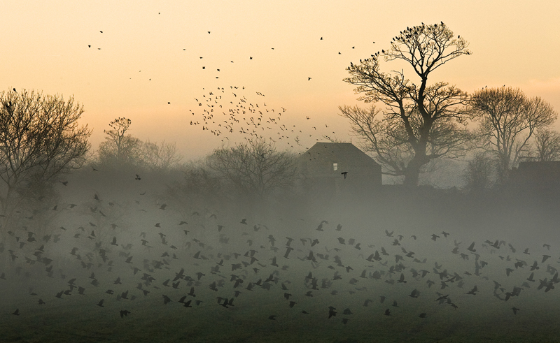 Early Rise - Co Antrim