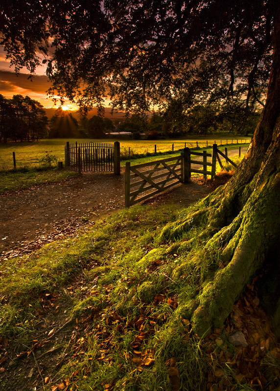 Autumn Morning Stroll