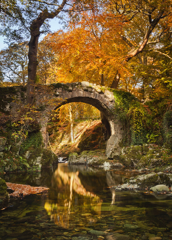 Autumn Light at Foleys Bridge - Co Down