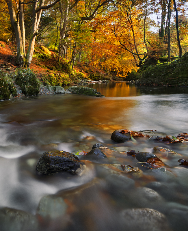 Shimna Colour - Co Down