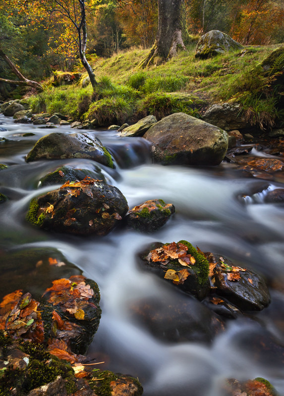 Autumnal Flow - Co Wicklow