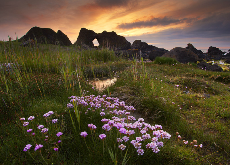 Ballintoy Blooms - Co Antrim
