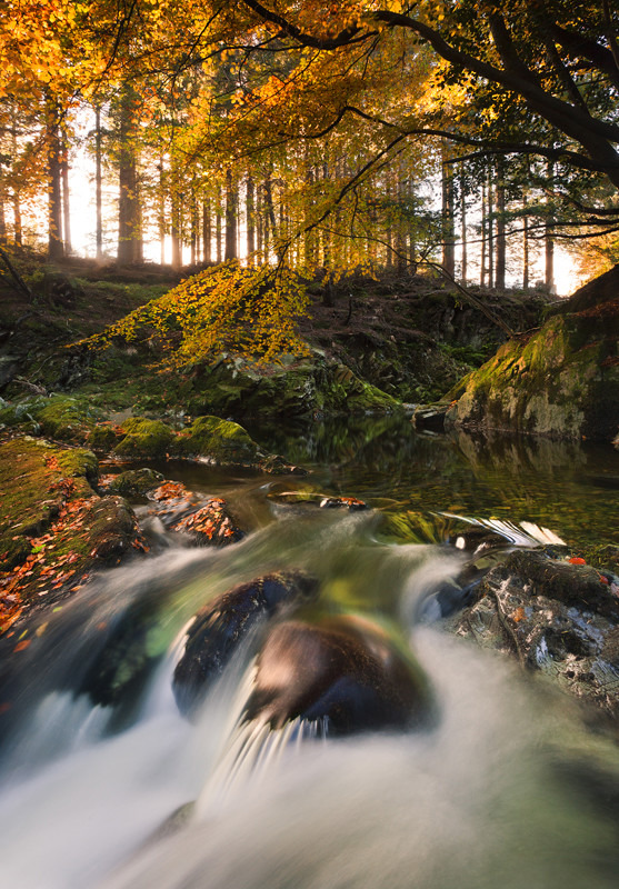 Hidden Falls - Co Down