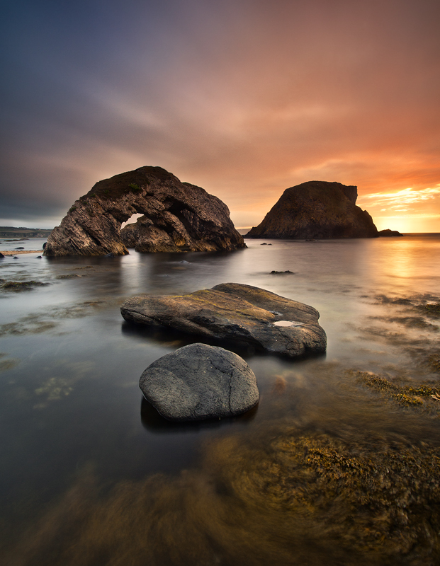 Sea Stacks & Seaweed - Co Antrim