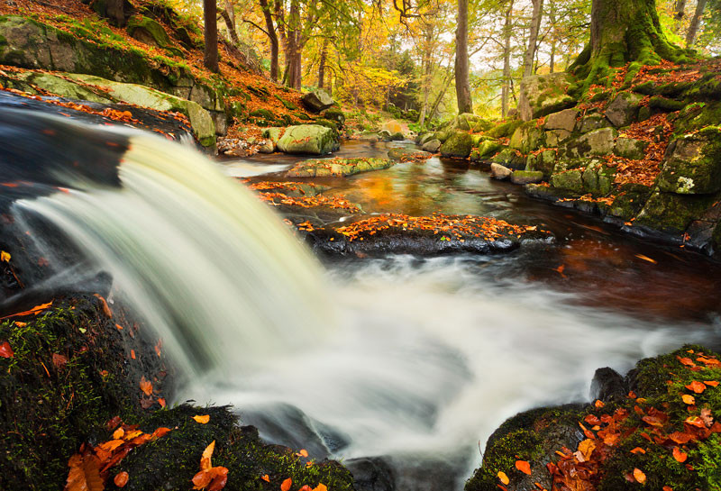 Cloughleagh Waterfall - Co Wicklow