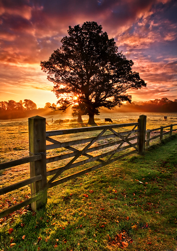Frosty Autumn Sunrise - Co Armagh