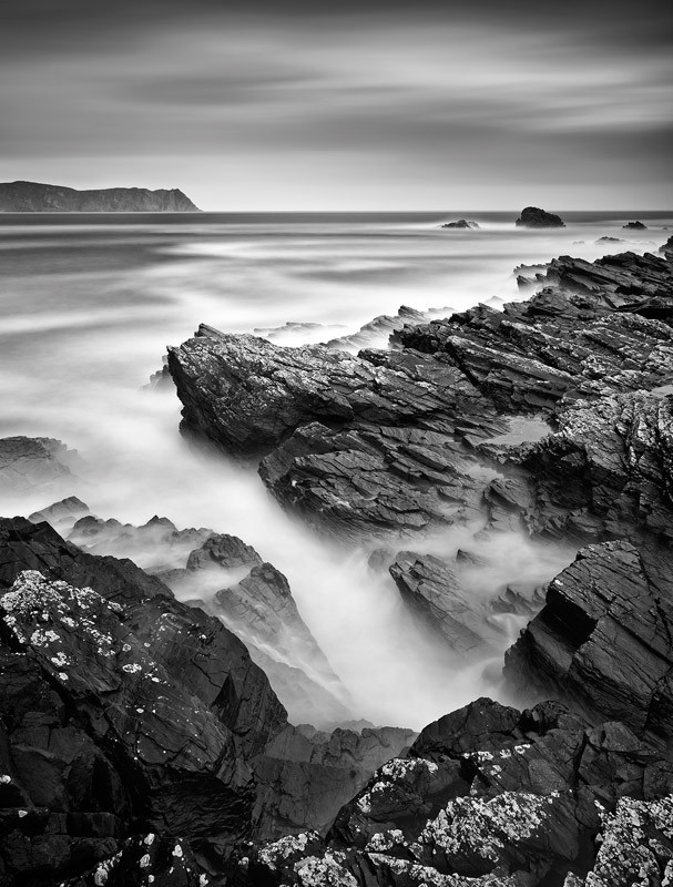 The Wild Irish Way - Black & White