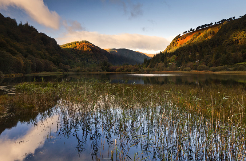 Autumn Morning Calm - Co Wicklow