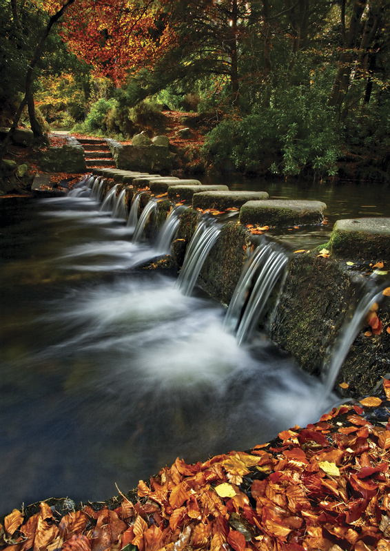 Tollymore Stepping Stones - Co Down
