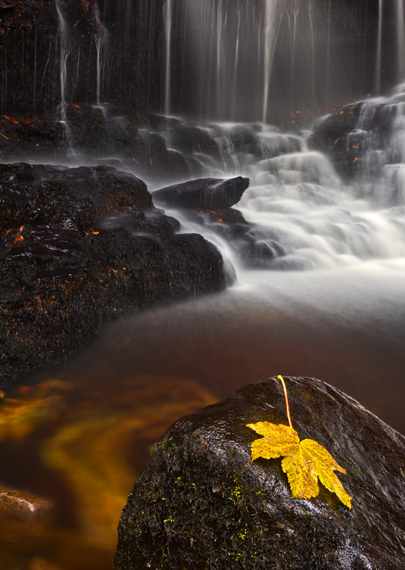 Glenariff Autumn - Co Antrim